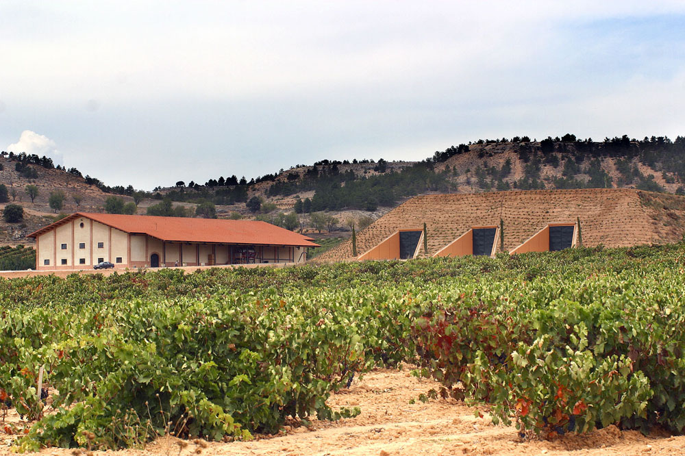 Denisov winery. Винодельня Бодегас Исиос в Испании. Винодельня Испании бодега. Винодельня Бодегас Портия. Винодельня Испания архитектура.