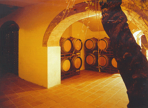Auf dem Bild sehen wir einen Weinkeller. An der Wand sind rgelae aufgebaut, wo Weinfässer lagern. Der Keller wird von rechts mit gelben Licht bestrahlt.