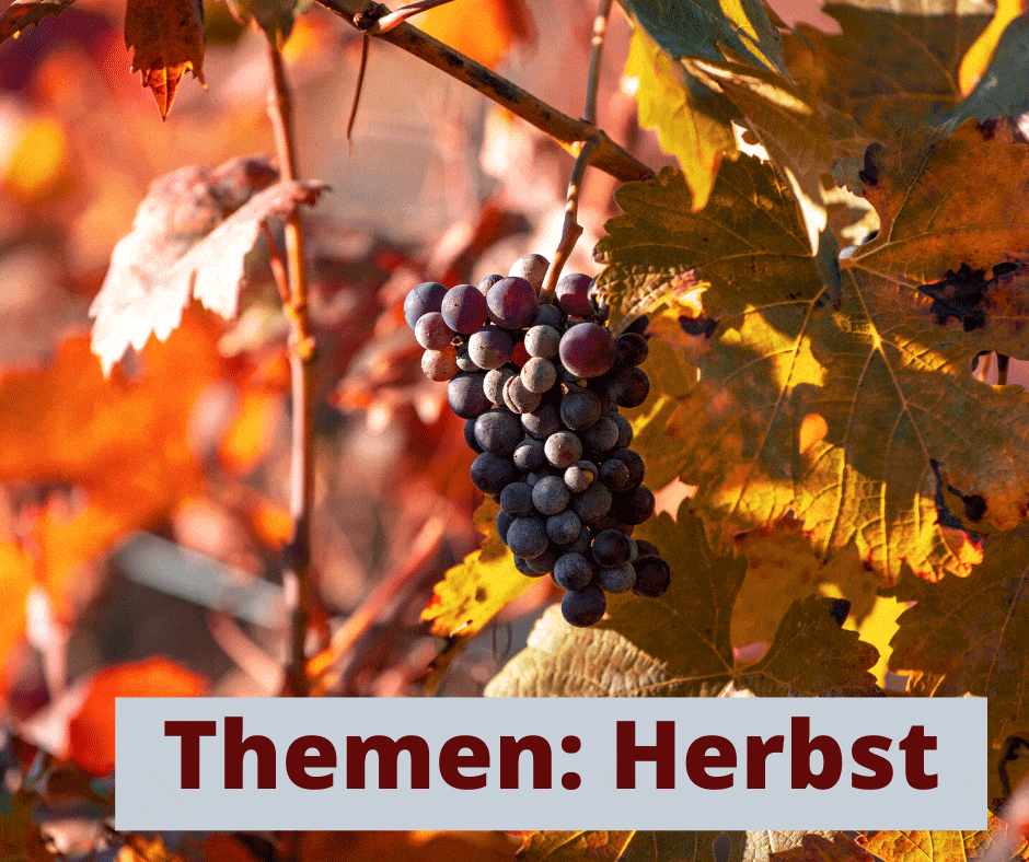Herbst und Wein - Themen