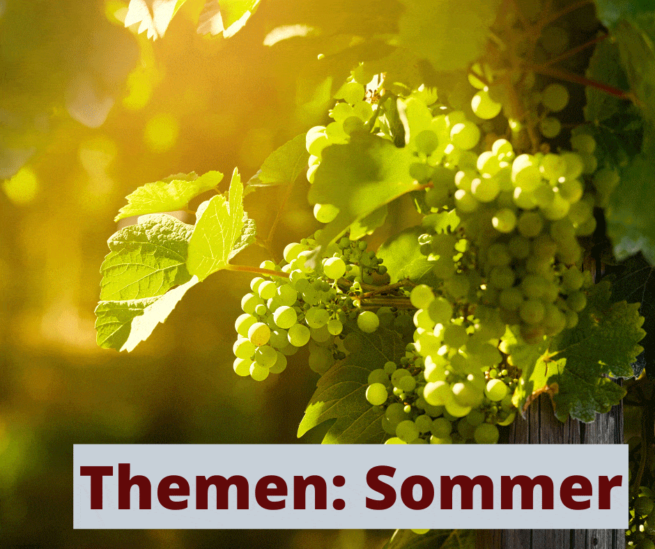 Sommer und Wein - Spannende Themen