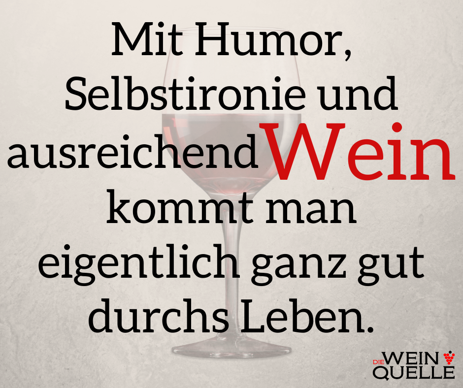 Weinspruch Mit Humor, Selbstironie und ausreichend Wein kommt man