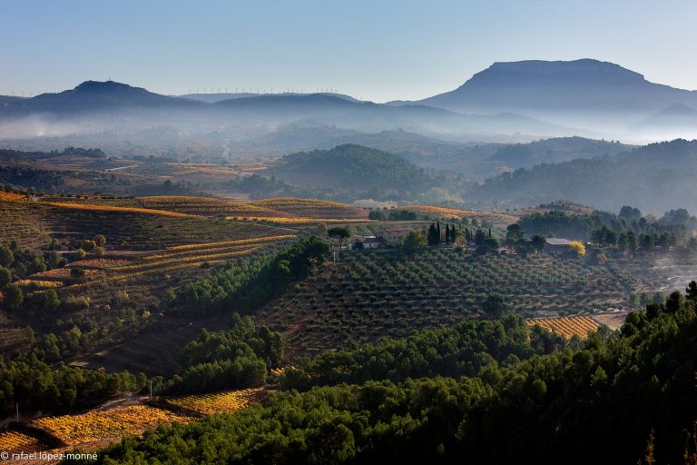 Hier sehen wir ein Tal. In diesem Tal sehen wir mehrere Weinfelder. Zwischen den Weinfelder sieht man eine kleine Bodega (Kellerei) Mas d'en Gil. Hinter den Weinfelder fängt eine Hügelige Landschaft an, mit großen und kleinen Bergen.