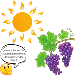 In der linken oberen Ecke sehen wir eine Sonne die wärme ausstrahlt. In der rechten unteren Ecke sehen wir Weinstauden die an einem Ast befestigt sind. Links neben den Stauden ist ein nachdenklicher Smiley abgebildet. Über Ihm ist eine Sprechblase in der steht: "Je mehr Sonne die Trauben bekommen, desto besser der Wein?".