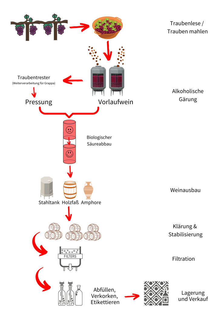 Herstellungsprozess Rotwein